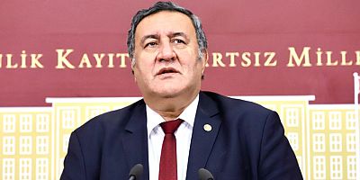 Orman Yangınlarıyla ilgili iddialar Meclis gündeminde... Gürer sordu, Bakan Pakdemirli yanıtladı…