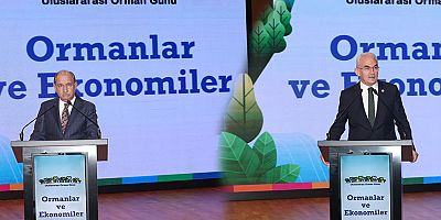 Ormanların Ekonomik Gücüne Dikkat Çekildi