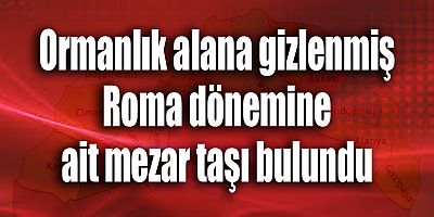 Ormanlık alana gizlenmiş Roma dönemine ait mezar taşı bulundu
