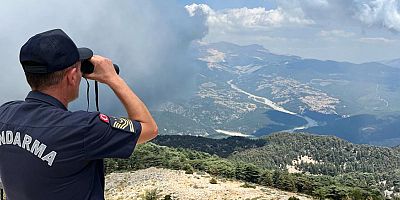 Ormanlık bölgeler Jandarma kontrolünde