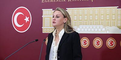 Ösen: Yurt içi satışlarda serbest bölgelere tanınan istisnanın kaldırılması yeni yatırımları baltalar