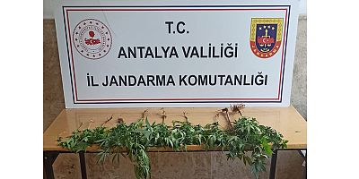 Otobüs yolcusunun üst aramasında uyuşturucu madde bulundu