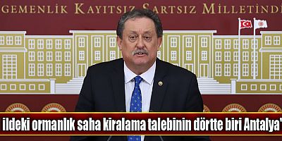 Özel ağaçlandırma izni için başvuruların dörtte biri Antalya'da