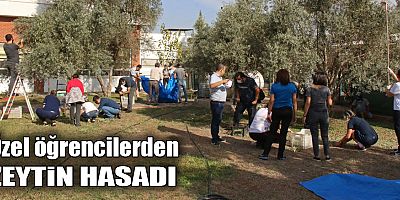 Özel öğrencilerden zeytin hasadı