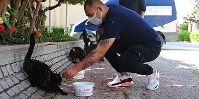 Pandemi döneminde sokak hayvanları unutulmuyor