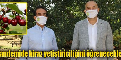 Pandemide kiraz yetiştiriciliğini öğrenecekler
