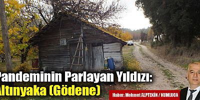 Pandeminin Parlayan Yıldızı: Altınyaka (Gödene)