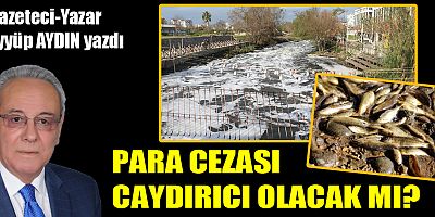 PARA CEZASI CAYDIRICI OLACAK MI?