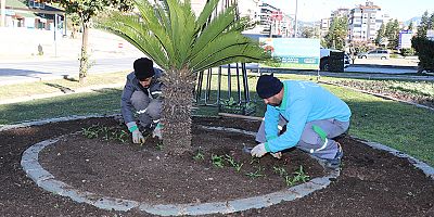 Park ve Bahçeler Müdürlüğü'nden kış aylarında kesintisiz çalışma