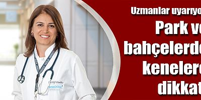 Park ve bahçelerde kenelere dikkat!