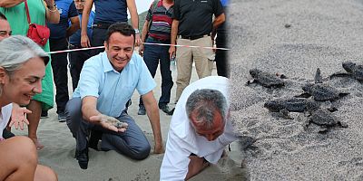 Patara'da caretta caretta yavruları denizle buluştu