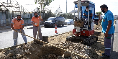 Payallar Sanayi Yolu'nda bitkilendirme çalışmaları başladı