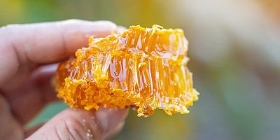 Petek bal mı süzme bal mı?