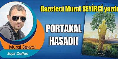 PORTAKAL HASADI!