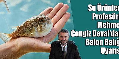 Prof. Dr. Mehmet Cengiz Deval: Balon Balıkları Dünyadaki En Zehirli İkinci Hayvan