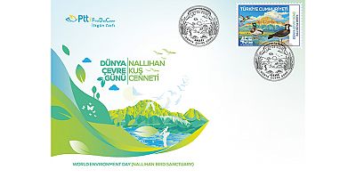 PTT7den 
