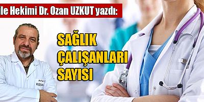 SAĞLIK ÇALIŞANLARI SAYISI