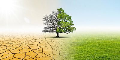 Sağlıklı araziler için restorasyon çalışmaları şart