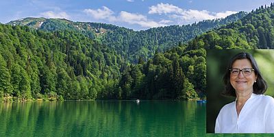 Sağlıklı Bir Çevre Hepimizin Ortak Geleceği