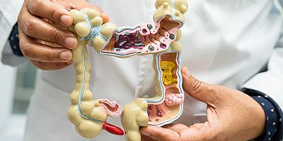 Sağlıklı Mikrobiyom Geliştirmenin 5 Yolu