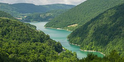 Sağlıklı Yaşam İçin Sağlıklı Ormanlar, Temiz Su