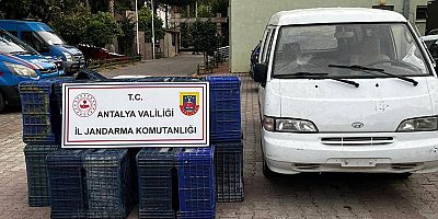 Sahte Plaka Kullanılarak Gerçekleştirilen Hırsızlık Olayını JASAT aydınlattı