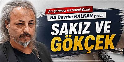 SAKIZ VE GÖKÇEK