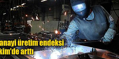 Sanayi üretim endeksi Ekim'de arttı