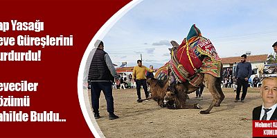 Şap Yasağı Deve Güreşlerini Durdurdu! Deveciler Çözümü Sahilde Buldu…