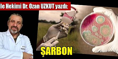 ŞARBON