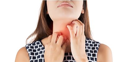 Sarcoptes uyuz böceği hastalığı gittikçe artıyor