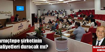 Sarnıçtepe şirketinin faaliyetleri duracak mı?