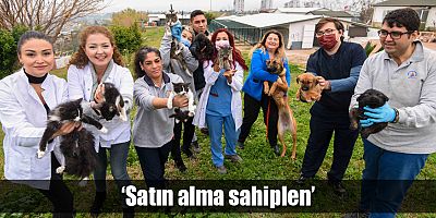 ‘Satın alma sahiplen’