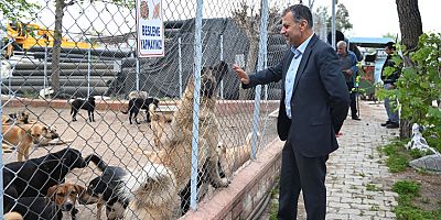 “Satın alma sahiplen”