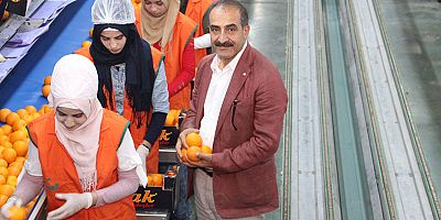 Satsuma mandalinanın ihracat yolculuğu 17 Ekim’de başlıyor
