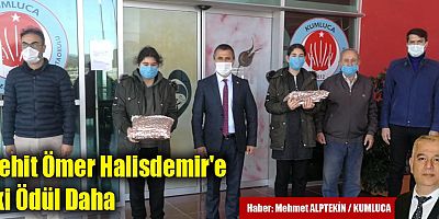 Şehit Ömer Halisdemir'e İki Ödül Daha