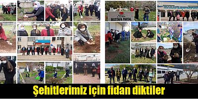 Şehitlerimiz için fidan diktiler