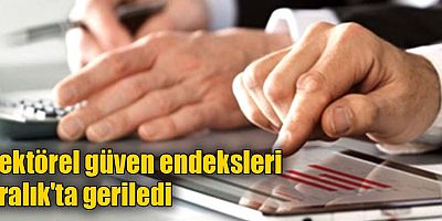 Sektörel güven endeksleri Aralık'ta geriledi