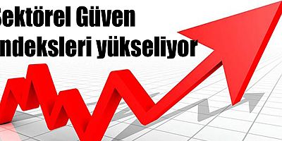 Sektörel Güven Endeksleri yükseliyor