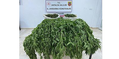 Serik İlçesinde Uyuşturucu Operasyonu