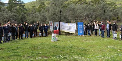 Serik’te “Arı Otu” tohumu desteği yapıldı