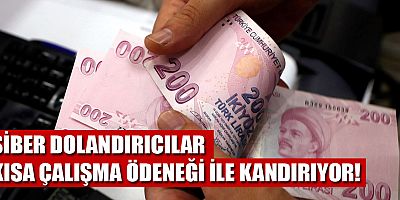 Siber dolandırıcılar kısa çalışma ödeneği ile kandırıyor