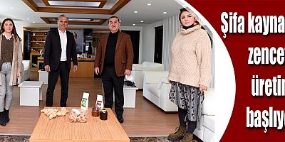 Şifa kaynağı zencefil üretimi başlıyor