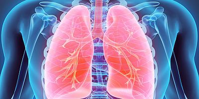 Sigara içmek isteyince 3 dakika erteleyin!