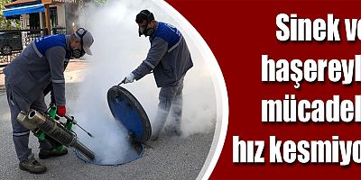 Sinek ve haşereyle mücadele hız kesmiyor