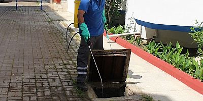 Sinekle mücadele sürüyor