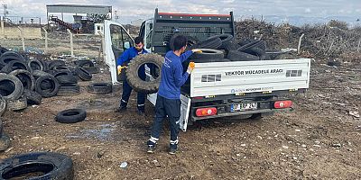 Sineklerin üreme alanı lastikler toplanıyor