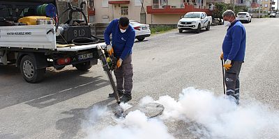 Sineksiz yaz için yoğun mücadele