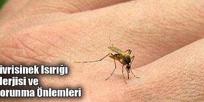 Sivrisinek Isırığı Alerjisi ve Korunma Önlemleri