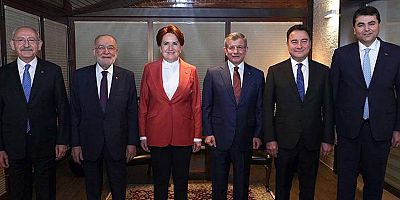 Siyasi parti liderleri ne tür lider sınıfına giriyor?